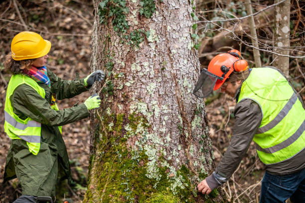 Lake Landor, VA Tree Care Company