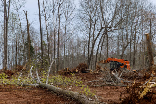 Soil Testing and Treatment in Lake Landor, VA